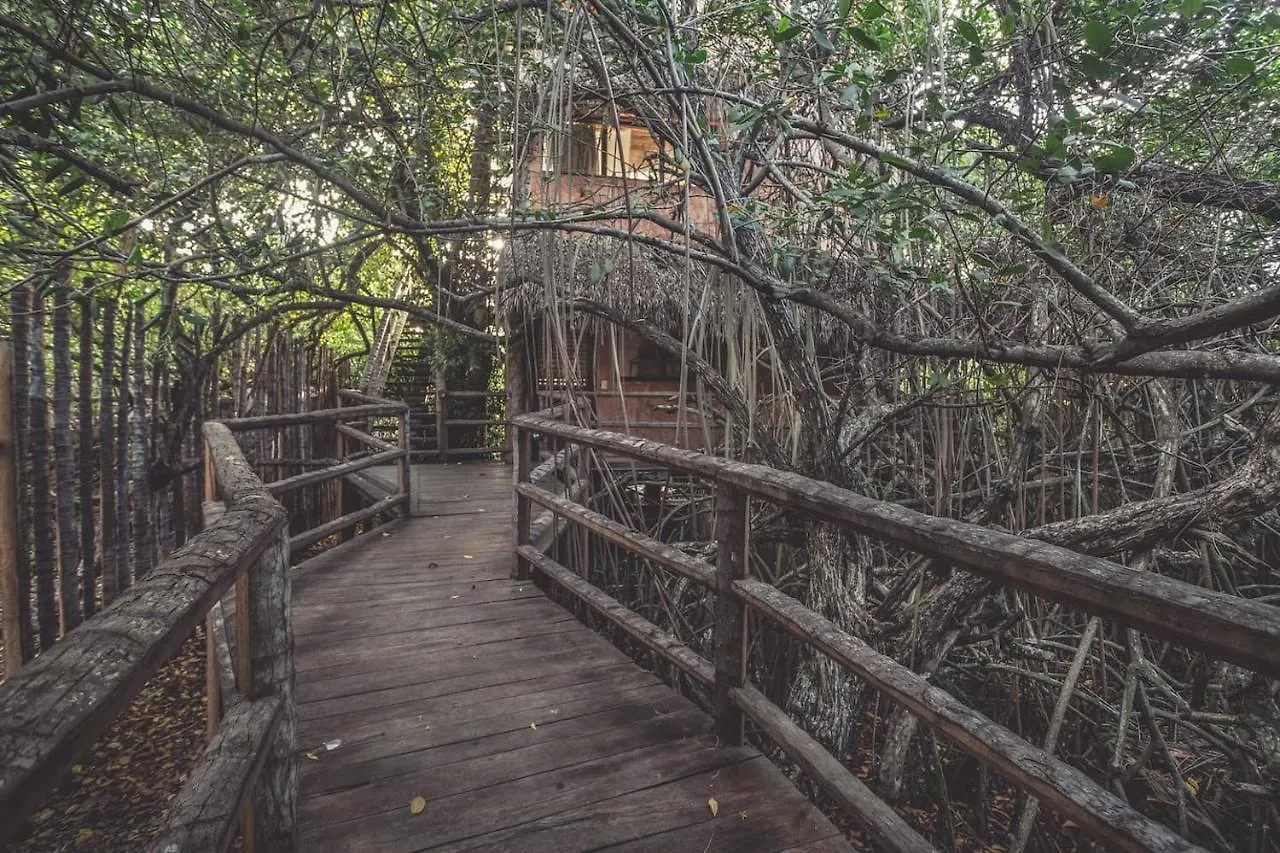 **** Otel Hidden Treehouse Tulum Eco-Hotel Meksika
