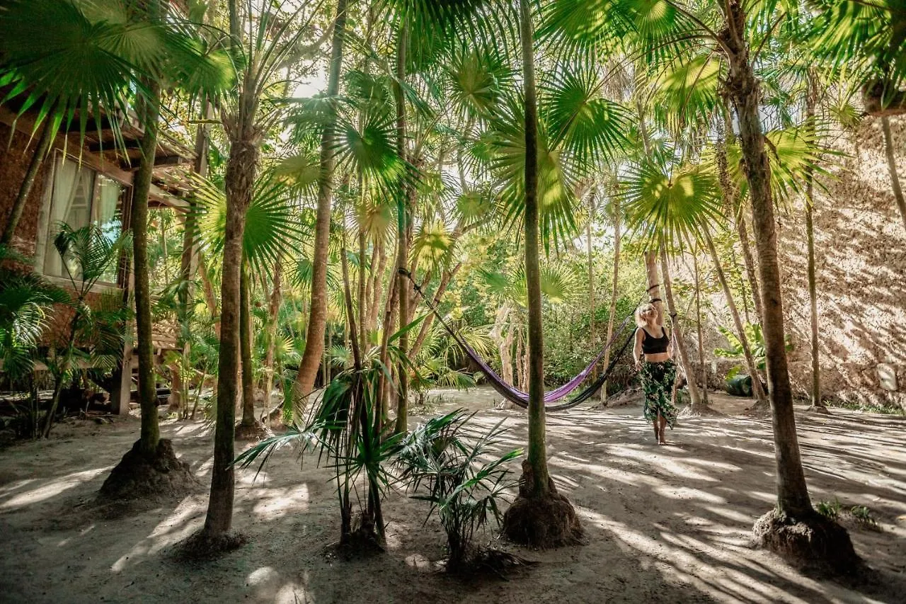 Hidden Treehouse Tulum Eco-Hotel